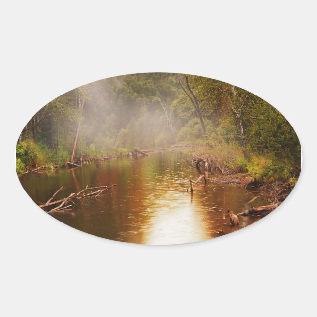 Rain in the Forest Oval Sticker (Front)