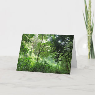 Rain in the Rainforest Card