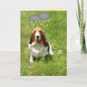 Rain On Funny Birthday Card W/Basset Hound