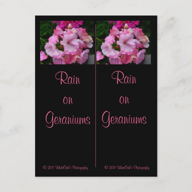 Rain on Geraniums Bookmarks  Postcard (Front)