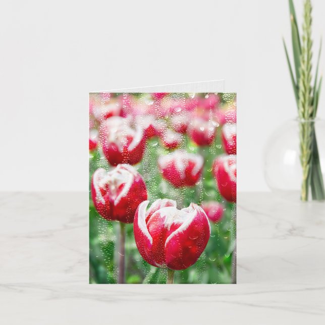 Rain on Glass and Red Tulips Card (Front)