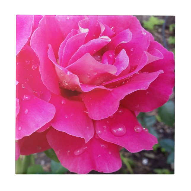 Rain on petals tile (Front)