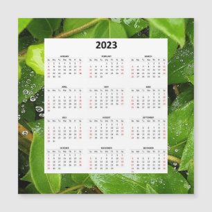 Rain On Spiderweb 2023 Magnetic Calendar
