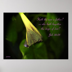 Rain on the Morning Glory - poster