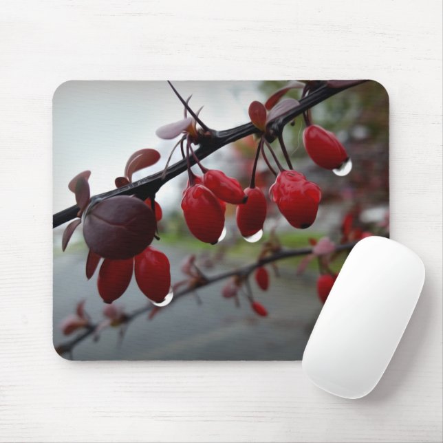 Rain on twig mouse pad (With Mouse)