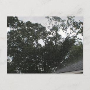 Rain Rain Go Away Postcard