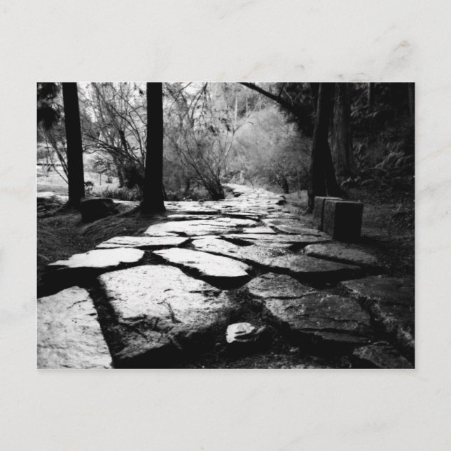 Rain-soaked paving stones postcard (Front)