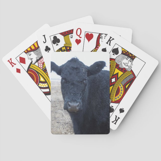 Rain-Soaked Wet Polled Cow Face Cattle Western Playing Cards (Back)