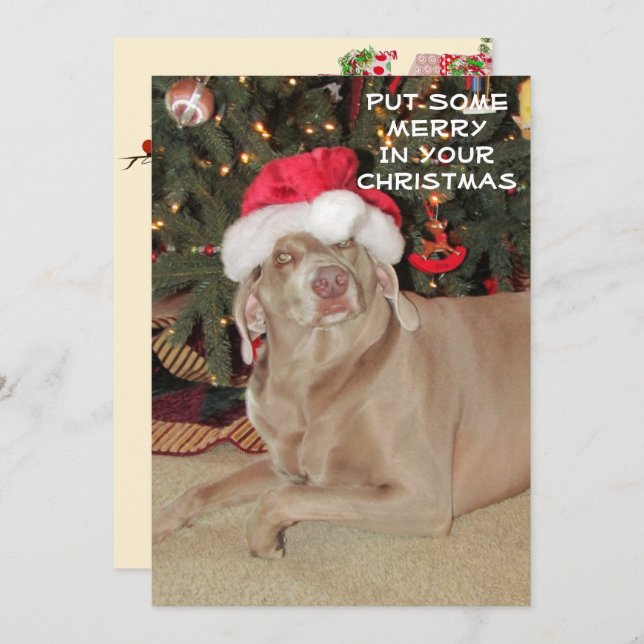 Rain the Weimaraner's Christmas  (Front/Back)