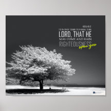 Rain upon you (Hosea 10:12)