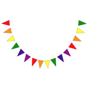 Rainbow 6 Colour LGBTQ Pride Celebration Bunting Flags