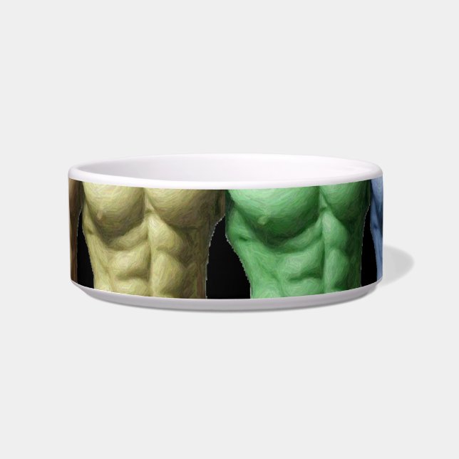 Rainbow Abs Pet Bowl (Front)