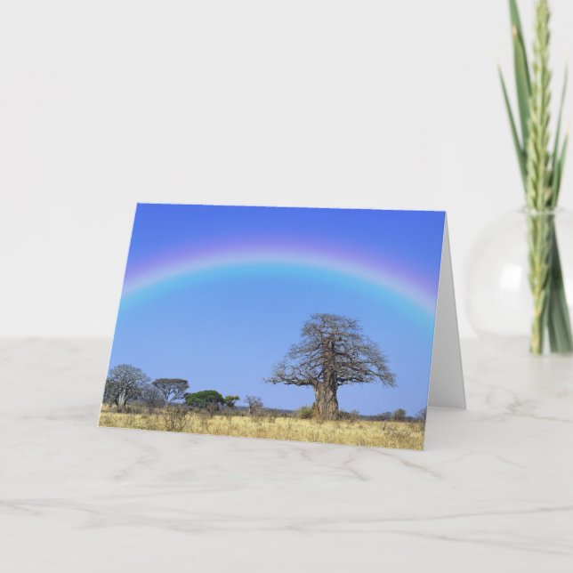 Rainbow and African baobab tree, Adansonia Card (Front)