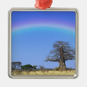 Rainbow and African baobab tree, Adansonia Metal Ornament