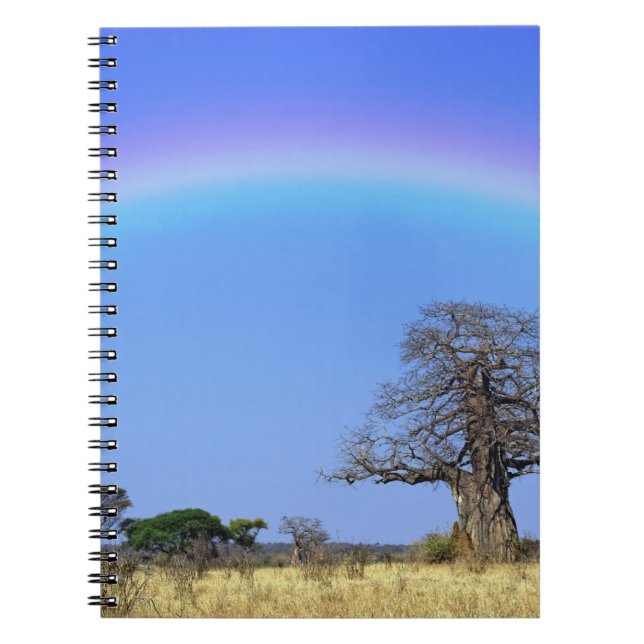 Rainbow and African baobab tree, Adansonia Notebook (Front)