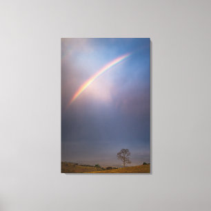 Rainbow And Tree Landscape Canvas Print