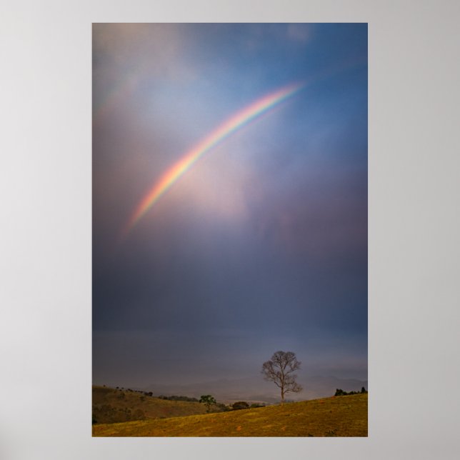 Rainbow And Tree Landscape Poster (Front)