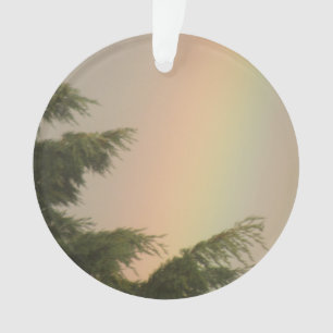 Rainbow and Trees Acrylic Ornament