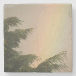 Rainbow and Trees Coasters
