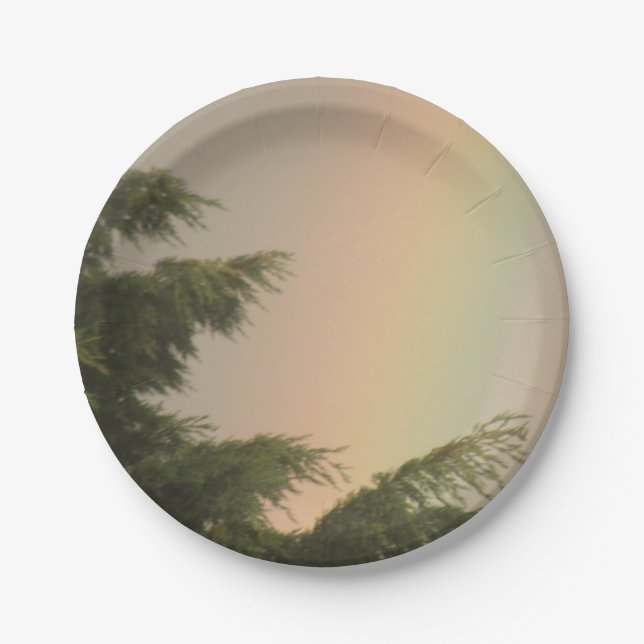 Rainbow and Trees Paper Plate (Front)