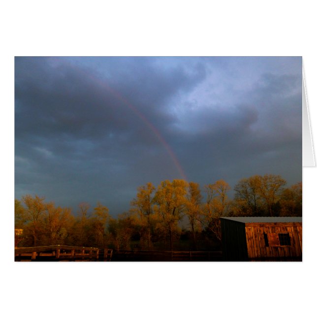 Rainbow at Sunset (Front Horizontal)