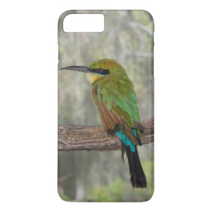 Rainbow bee-eater bird, Australia Case-Mate iPhone Case