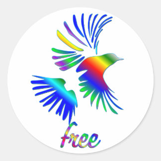 Rainbow Bird Classic Round Sticker