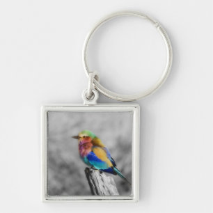 Rainbow Bird Keychain