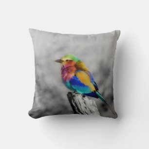 Rainbow Bird Throw Pillow