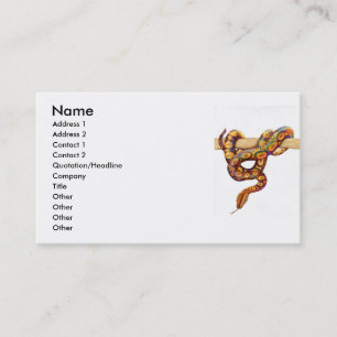 Rainbow Boa Snake Profile Card