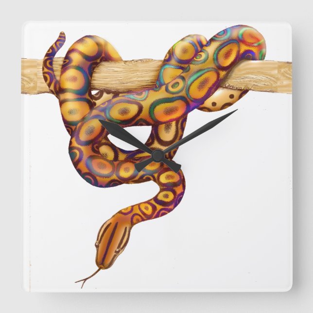 Rainbow Boa Snake Wall Clock (Front)