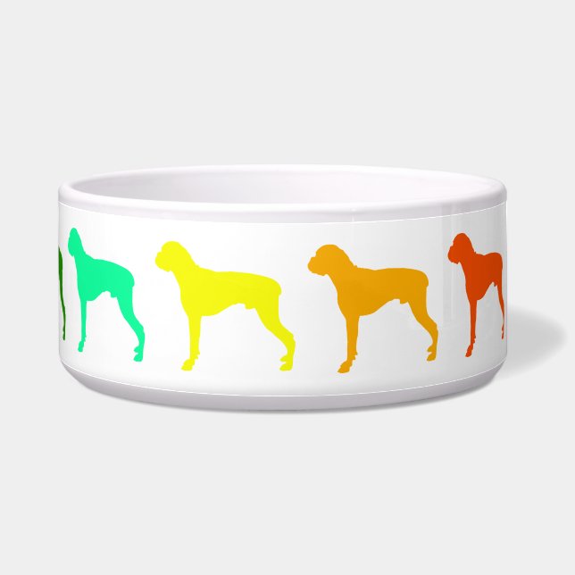 Rainbow Boxer Pet Bowl (Right)