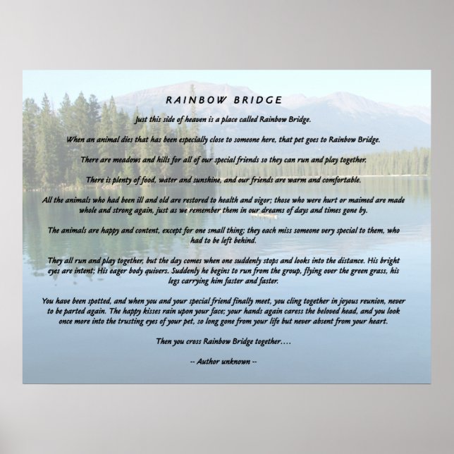 Rainbow Bridge 2 Poster (Front)