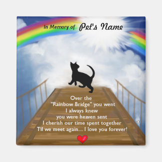 Rainbow Bridge for Cats Magnet