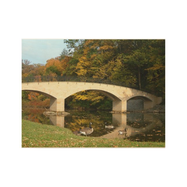 Rainbow Bridge in Fall at Grove City College Wood Poster (Front)