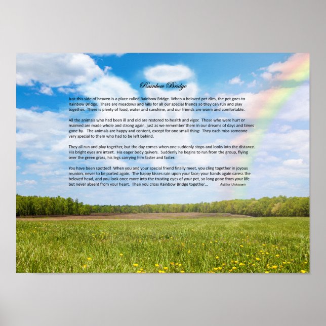 Rainbow Bridge Male Dog Sympathy Poster, Custom Poster (Front)
