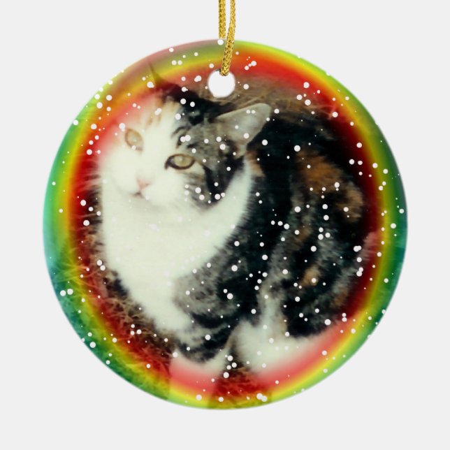 Rainbow bridge memorial ornament (Front)