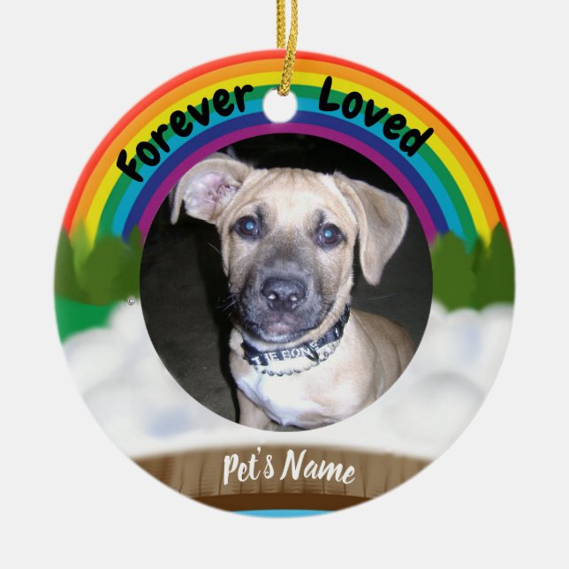Rainbow Bridge Pet Loss Ceramic Ornament (Front)