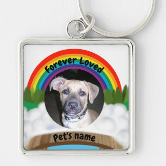 Rainbow Bridge Pet Loss Keychain