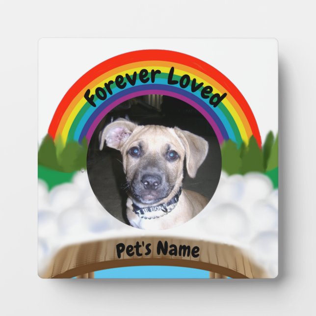 Rainbow Bridge pet loss Plaque (Front)