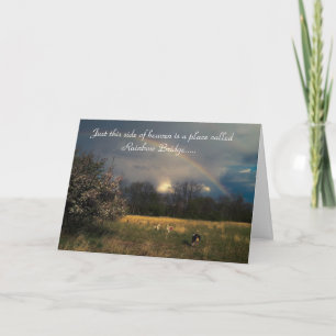 Rainbow Bridge Pet Sympathy Card