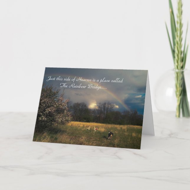 Rainbow Bridge Pet Sympathy Card (Blank inside) (Front)