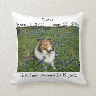 Rainbow Bridge Pillow