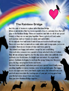 Rainbow Bridge Poem Postcards Zazzle Ca