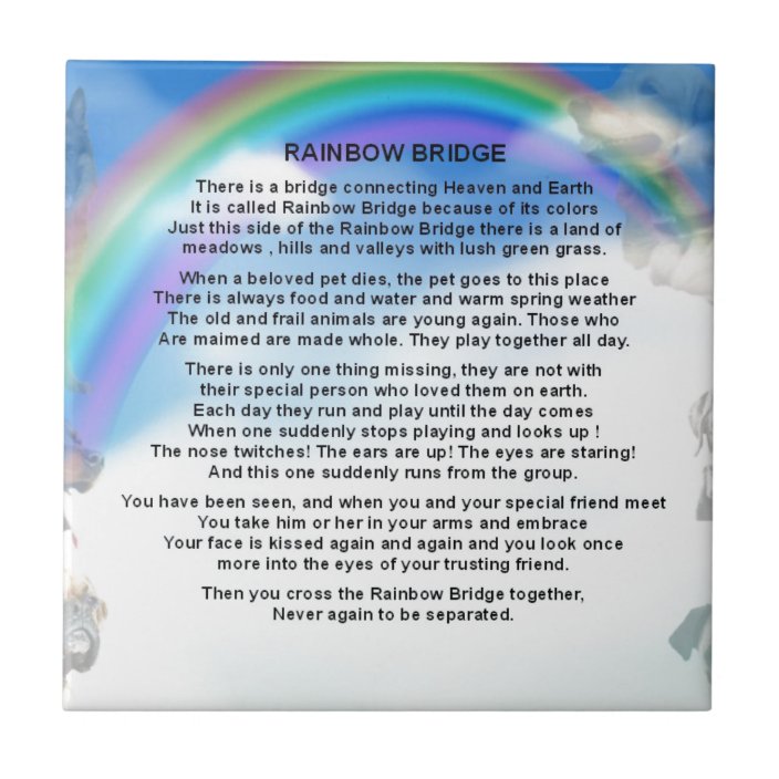 rainbow bridge poem tile zazzleca