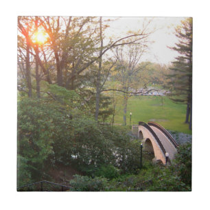 Rainbow Bridge Sunset at Grove City College Tile