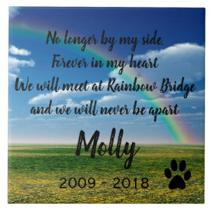 Rainbow Bridge Tile