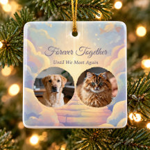 Rainbow Bridge Two Pet Photo Memorial
