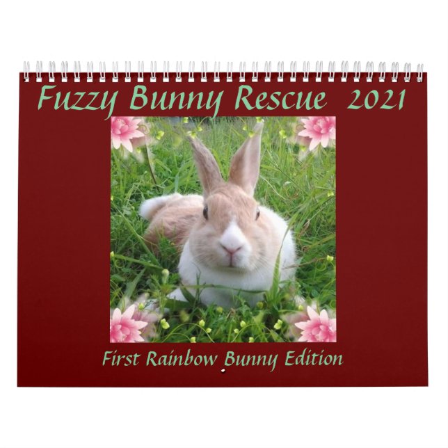Rainbow Bunny Memorial Calendar 2021 (Cover)