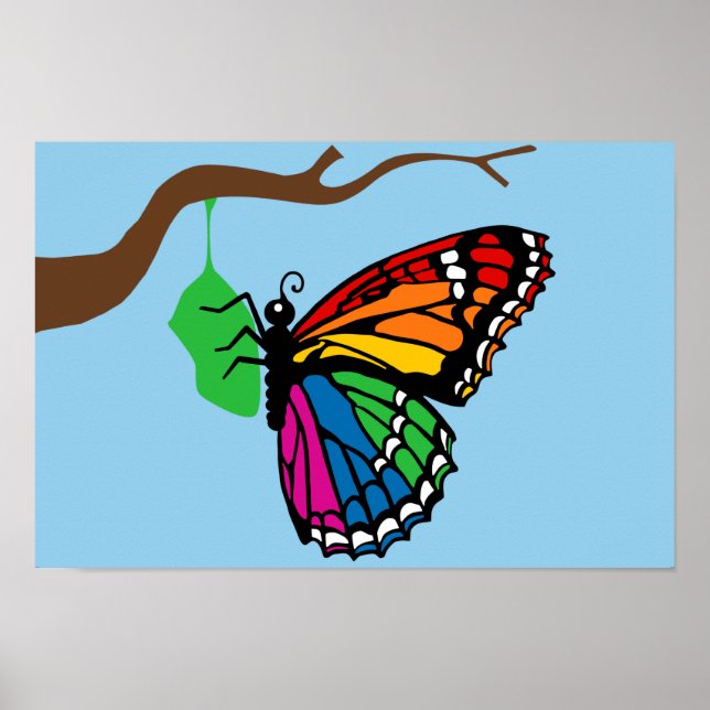 Rainbow Butterfly Emerging From Chrysalis Poster (Front)